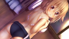 Anime anime girls brown eyes brunettes ecchi underwear