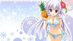 Anime anime girls brunettes bikini