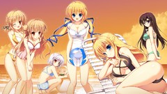 Anime anime girls brunettes bikini