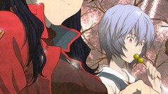 Anime anime girls brunettes neon genesis evangelion ayanami rei 