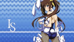 Anime anime girls Bunnies infinite stratos animal ears bunny 