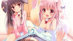 Anime anime girls Bunnies scans Pan (Mangaka)
