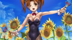 Anime anime girls ecchi bunny girls