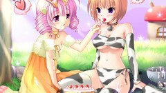 Anime anime girls ecchi hentai