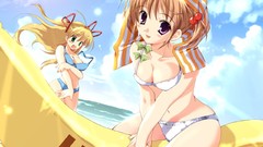 Anime anime girls ecchi hentai