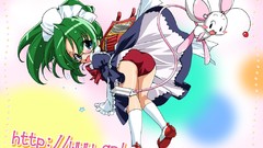 Anime anime girls ecchi hentai