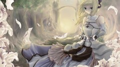 Anime anime girls fate series saber lily saber