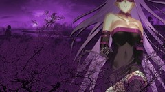 Anime anime girls fate stay night fate series Rider (Fate/Stay 