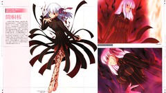 Anime anime girls fate stay night matou sakura concept art fate 