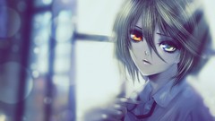Anime anime girls heterochromia blurred background