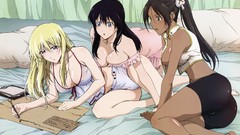 Anime anime girls huge boobs Break Blade