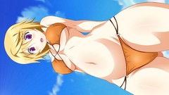 Anime anime girls infinite stratos ecchi skyscapes low-angle 