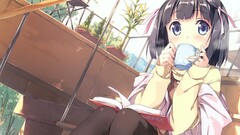 Anime anime girls kantoku The World God Only Knows indoors cup