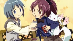 Anime anime girls mahou shoujo madoka magica sakura kyouko miki 