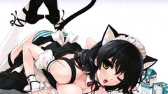 Anime anime girls maids nekomimi animal ears ecchi bikini boobs 