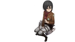 Anime anime girls mikasa ackerman shingeki no kyojin