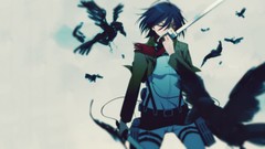 Anime anime girls mikasa ackerman shingeki no kyojin