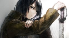 Anime anime girls mikasa ackerman shingeki no kyojin