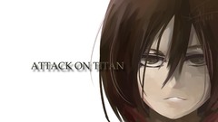 Anime anime girls mikasa ackerman shingeki no kyojin