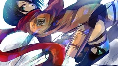 Anime anime girls mikasa ackerman shingeki no kyojin