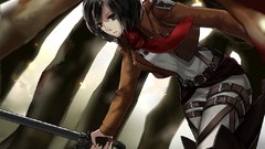 Anime anime girls mikasa ackerman shingeki no kyojin