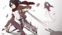 Anime anime girls mikasa ackerman shingeki no kyojin