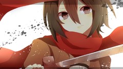 Anime anime girls mikasa ackerman shingeki no kyojin