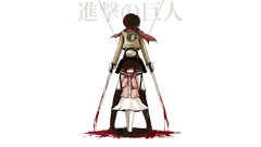 Anime anime girls mikasa ackerman shingeki no kyojin Simple 