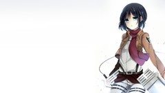 Anime anime girls mikasa ackerman shingeki no kyojin Simple 