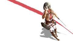 Anime anime girls mikasa ackerman shingeki no kyojin Simple 