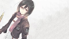Anime anime girls mikasa ackerman shingeki no kyojin Simple 