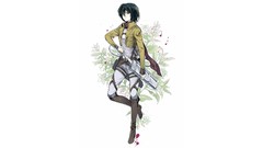 Anime anime girls mikasa ackerman shingeki no kyojin Simple 