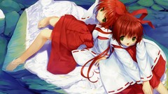 Anime anime girls miko Japanese clothes