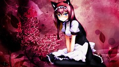 Anime anime girls nekomimi