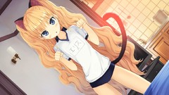 Anime anime girls nekomimi