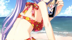 Anime anime girls nekomimi bikini scans Tiny Dungeon