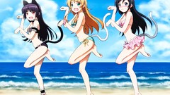 Anime anime girls nekomimi gokou ruri kousaka kirino bikini ore 