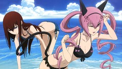 Anime anime girls nekomimi makise kurisu steins gate bikini 