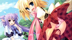 Anime anime girls nekomimi panties scans Tiny Dungeon