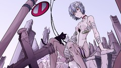 Anime anime girls neon genesis evangelion ayanami rei rei 