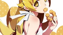 Anime anime girls nisemonogatari