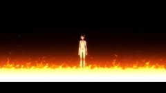 Anime anime girls nisemonogatari