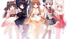 Anime anime girls pantyhose lolita fashion animal ears miko 