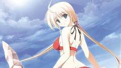 Anime anime girls primitive link tierra moreni visual novels