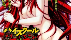 Anime anime girls redheads highschool dxd