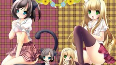 Anime anime girls seifuku animal ears azuki azusa underwear 