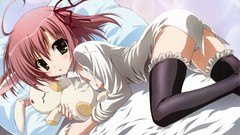 Anime anime girls seitokai no ichizon