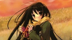 Anime anime girls shakugan no shana shana