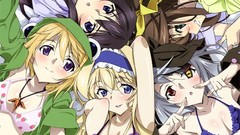 Anime anime girls short hair infinite stratos shinonono houki 