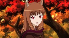 Anime anime girls spice and wolf Holo The Wise Wolf